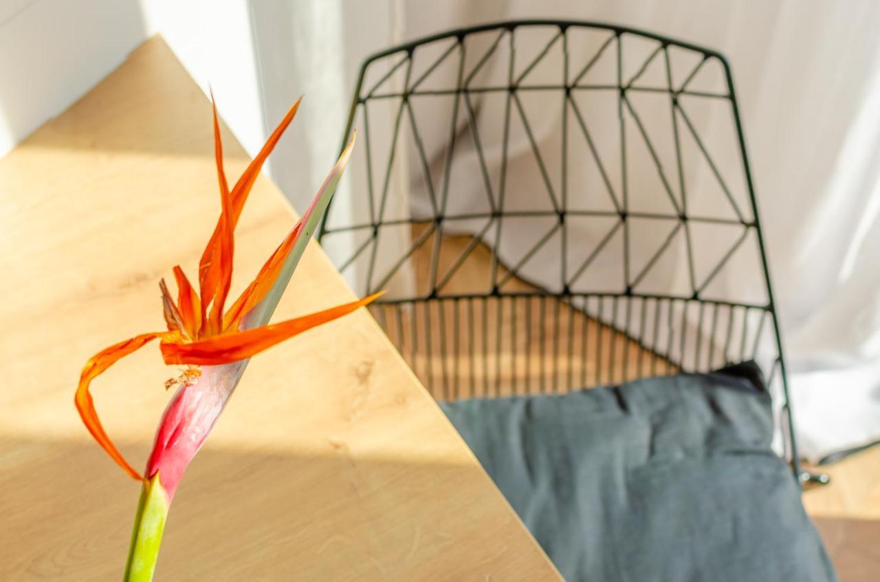 Chandakos 8 Design Apts 이라클리온 외부 사진